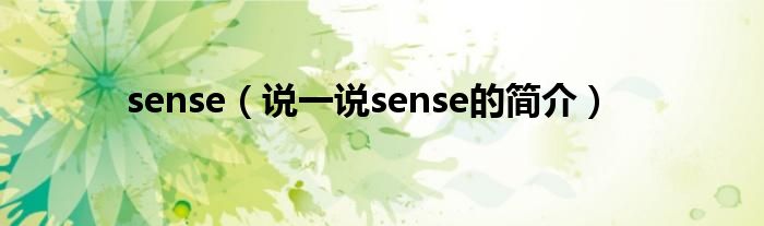 sense（说一说sense的简介）