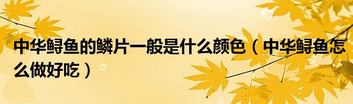中华鲟鱼的鳞片一般是什么颜色（中华鲟鱼怎么做好吃）