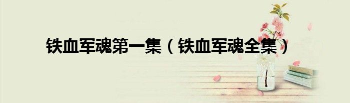 铁血军魂第一集（铁血军魂全集）