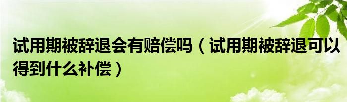 试用期被辞退会有赔偿吗（试用期被辞退可以得到什么补偿）