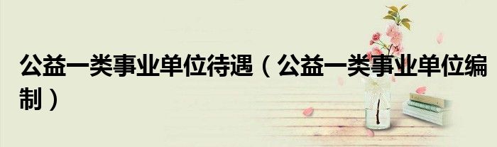 公益一类事业单位待遇（公益一类事业单位编制）