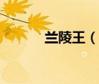 兰陵王（说一说兰陵王的简介）