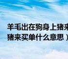 羊毛出在狗身上猪来买单什么意思的感悟（羊毛出在狗身上猪来买单什么意思）