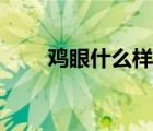 鸡眼什么样子算好（鸡眼什么样的）