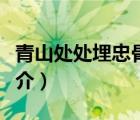 青山处处埋忠骨（说一说青山处处埋忠骨的简介）