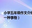 小学五年级作文介绍一种事物200字（小学五年级作文介绍一种事物）