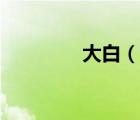大白（说一说大白的简介）
