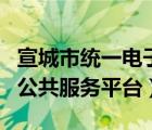 宣城市统一电子印章公共服务平台（宣城教育公共服务平台）