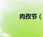 肉孜节（说一说肉孜节的简介）