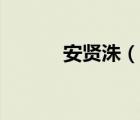 安贤洙（说一说安贤洙的简介）