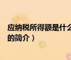 应纳税所得额是什么意思（说一说应纳税所得额是什么意思的简介）