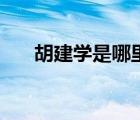 胡建学是哪里的（胡建学的妻子图片）