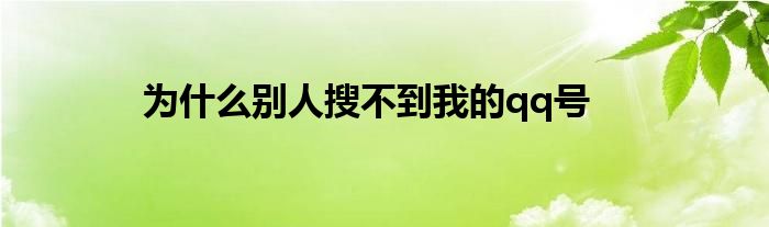 为什么别人搜不到我的qq号