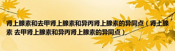 肾上腺素和去甲肾上腺素和异丙肾上腺素的异同点（肾上腺素 去甲肾上腺素和异丙肾上腺素的异同点）