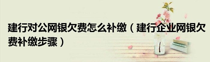 建行对公网银欠费怎么补缴（建行企业网银欠费补缴步骤）