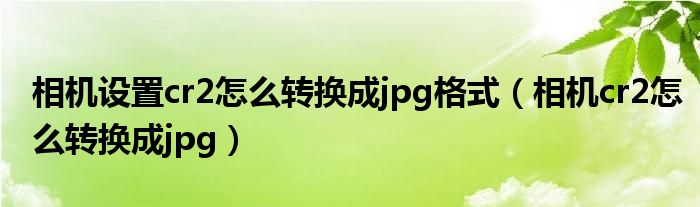 相机设置cr2怎么转换成jpg格式（相机cr2怎么转换成jpg）