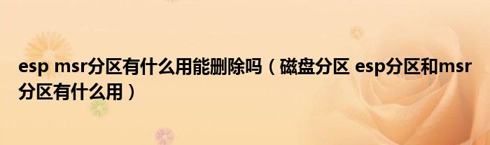 esp msr分区有什么用能删除吗（磁盘分区 esp分区和msr分区有什么用）