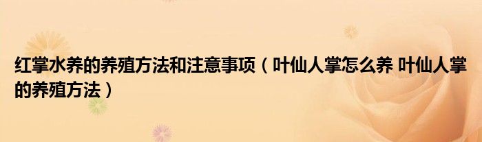 红掌水养的养殖方法和注意事项（叶仙人掌怎么养 叶仙人掌的养殖方法）