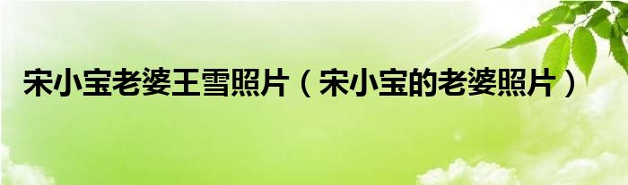 宋小宝老婆王雪照片（宋小宝的老婆照片）