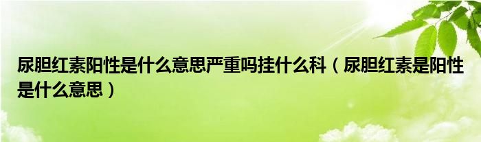 尿胆红素阳性是什么意思严重吗挂什么科（尿胆红素是阳性是什么意思）