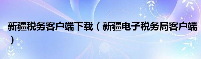 新疆税务客户端下载（新疆电子税务局客户端）
