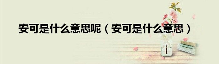安可是什么意思呢（安可是什么意思）