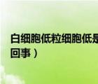 白细胞低粒细胞低是怎么回事（中性粒细胞绝对值低是怎么回事）