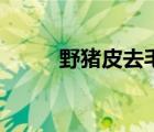 野猪皮去毛最好的方法（野猪皮）