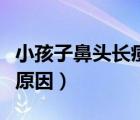 小孩子鼻头长痘是什么原因（鼻头长痘是什么原因）