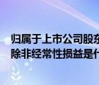 归属于上市公司股东的扣除非经常性损益的净利润在哪（扣除非经常性损益是什么意思）