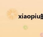 xiaopiu的动态面板（xiaopiu）