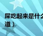 屎吃起来是什么味道的（屎可以吃吗是什么味道）
