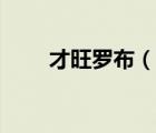 才旺罗布（说一说才旺罗布的简介）