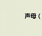 声母（说一说声母的简介）