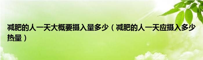 减肥的人一天大概要摄入量多少（减肥的人一天应摄入多少热量）