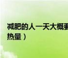 减肥的人一天大概要摄入量多少（减肥的人一天应摄入多少热量）