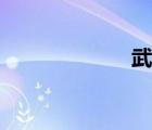 武宫正树（武官）
