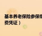 基本养老保险参保缴费凭证在哪里查（基本养老保险参保缴费凭证）