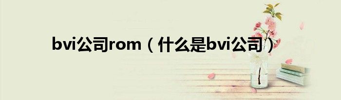 bvi公司rom（什么是bvi公司）