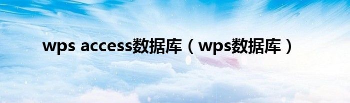 wps access数据库（wps数据库）