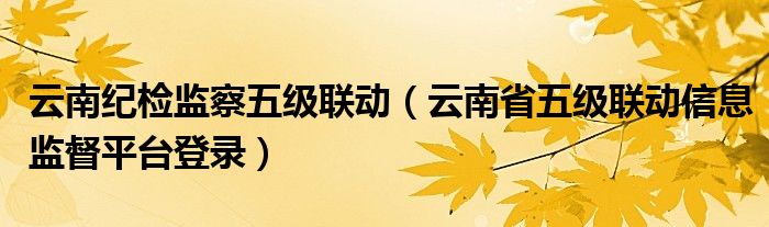 云南纪检监察五级联动（云南省五级联动信息监督平台登录）