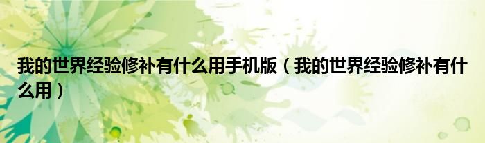 我的世界经验修补有什么用手机版（我的世界经验修补有什么用）
