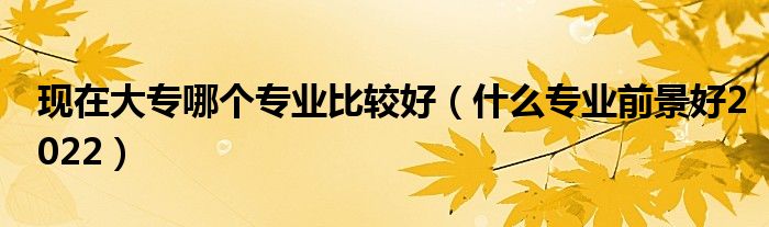 现在大专哪个专业比较好（什么专业前景好2022）