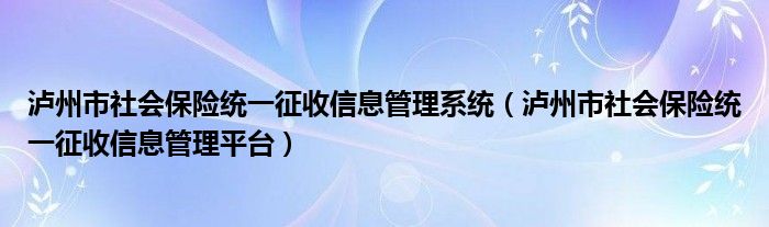 泸州市社会保险统一征收信息管理系统（泸州市社会保险统一征收信息管理平台）