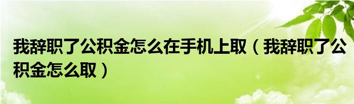 我辞职了公积金怎么在手机上取（我辞职了公积金怎么取）