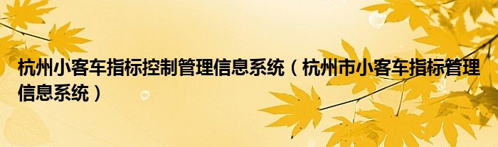 杭州小客车指标控制管理信息系统（杭州市小客车指标管理信息系统）