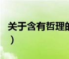 关于含有哲理的诗有哪些（含有哲理的古诗句）
