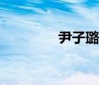 尹子璐爱芘公主（尹子璐）