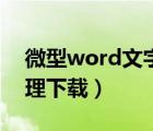 微型word文字处理软件（微型word文字处理下载）