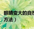 眼睛变大的自然方法小妙招（眼睛变大的自然方法）